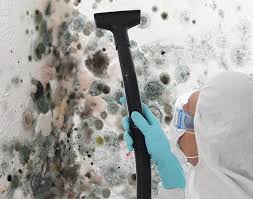 Best Environmental Consulting for Mold Prevention  in Sandstone, MN